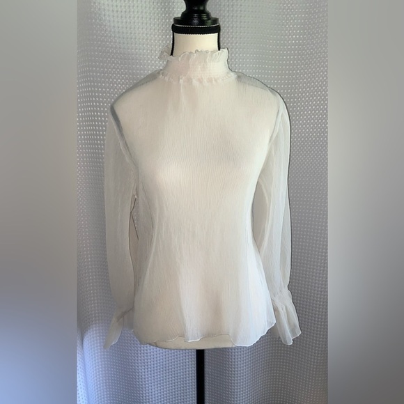 Women’s WOMANCE beige sheer puff sleeves “Crepe” fabric blouse size small - Picture 2 of 11